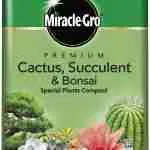 miracle-gro-cacti-succulent
